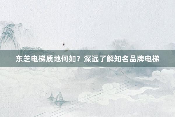 东芝电梯质地何如？深远了解知名品牌电梯