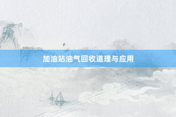 加油站油气回收道理与应用